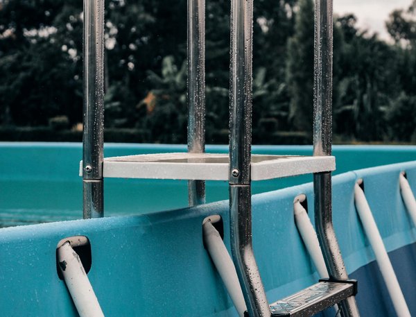 Métamorphose florale : remède miraculeux pour sauver un rosier souffrant